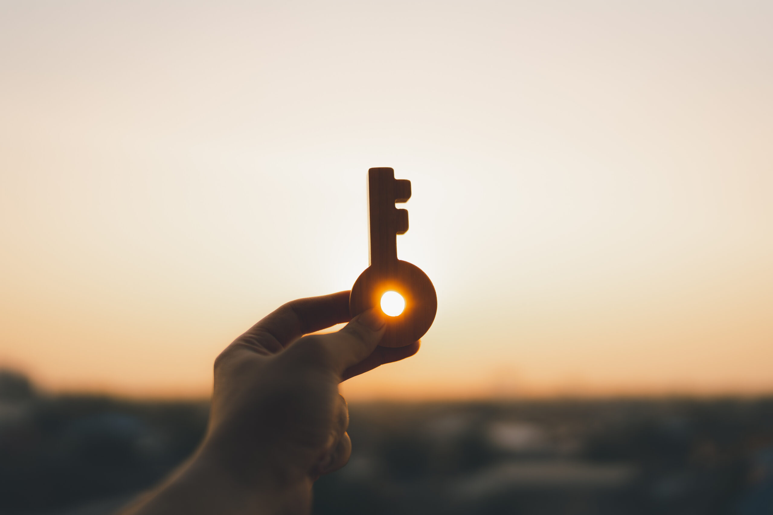 Better Questions, Trusted Evidence: Why Prompting Is the New Literacy in AI-Enabled Evidence Synthesis Better Questions, Trusted Evidence: Why Prompting Is the New Literacy in AI-Enabled Evidence Synthesis