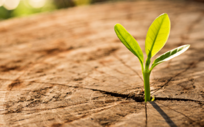 From Excel Sheets to AI-Powered Evidence: A Conversation with Stryker Neurovascular’s Medical Writing Team