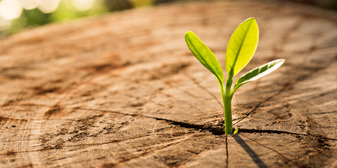 From Excel Sheets to AI-Powered Evidence: A Conversation with Stryker Neurovascular’s Medical Writing Team